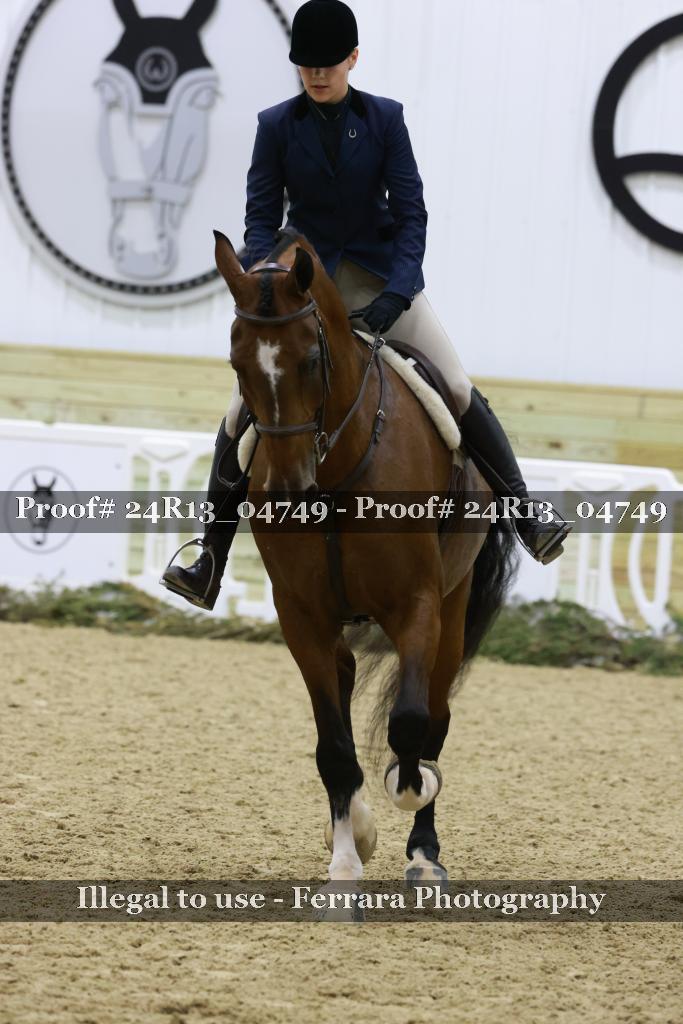 Proof 24R13_04749