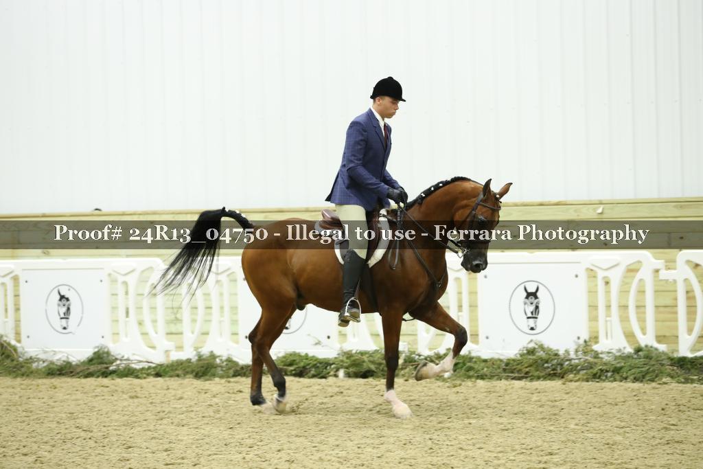 Proof 24R13_04750