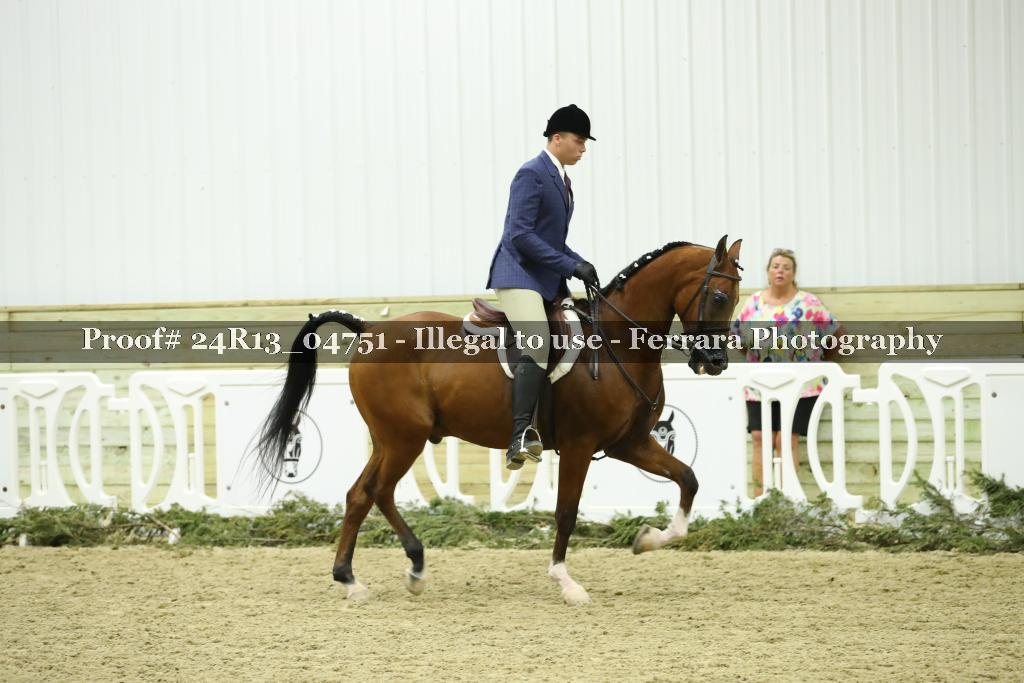 Proof 24R13_04751