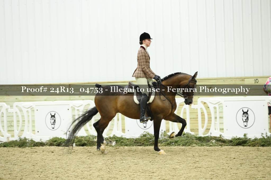 Proof 24R13_04753