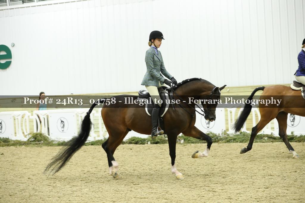Proof 24R13_04758