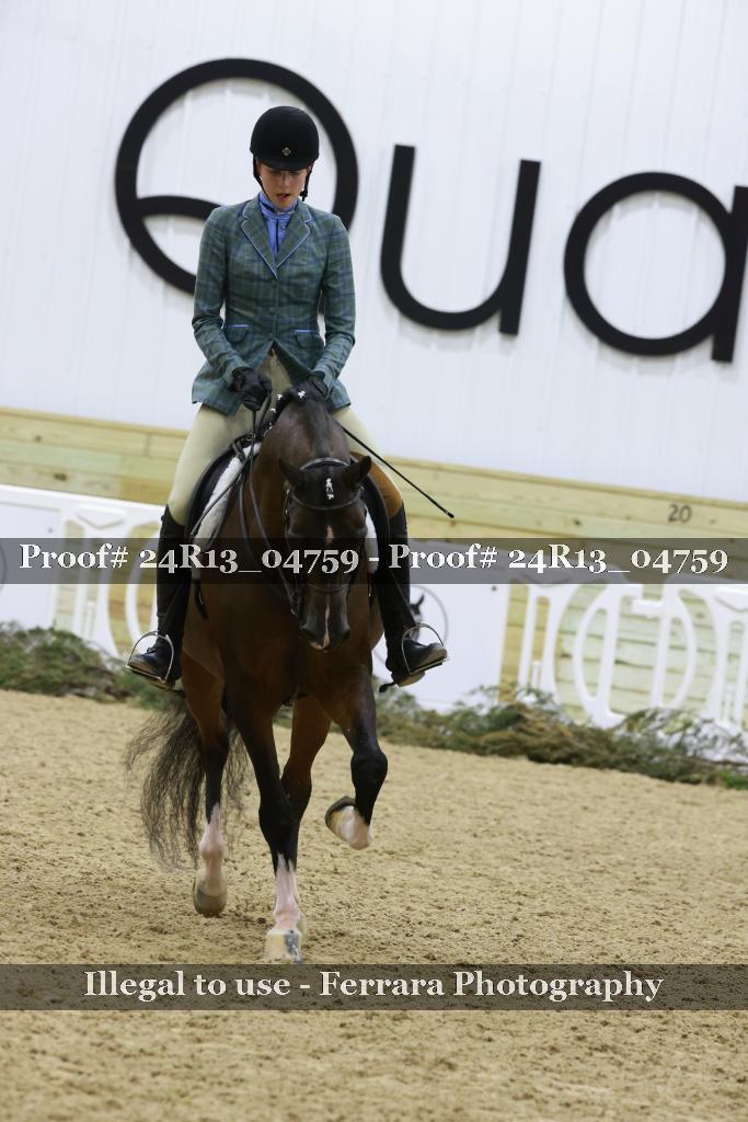 Proof 24R13_04759