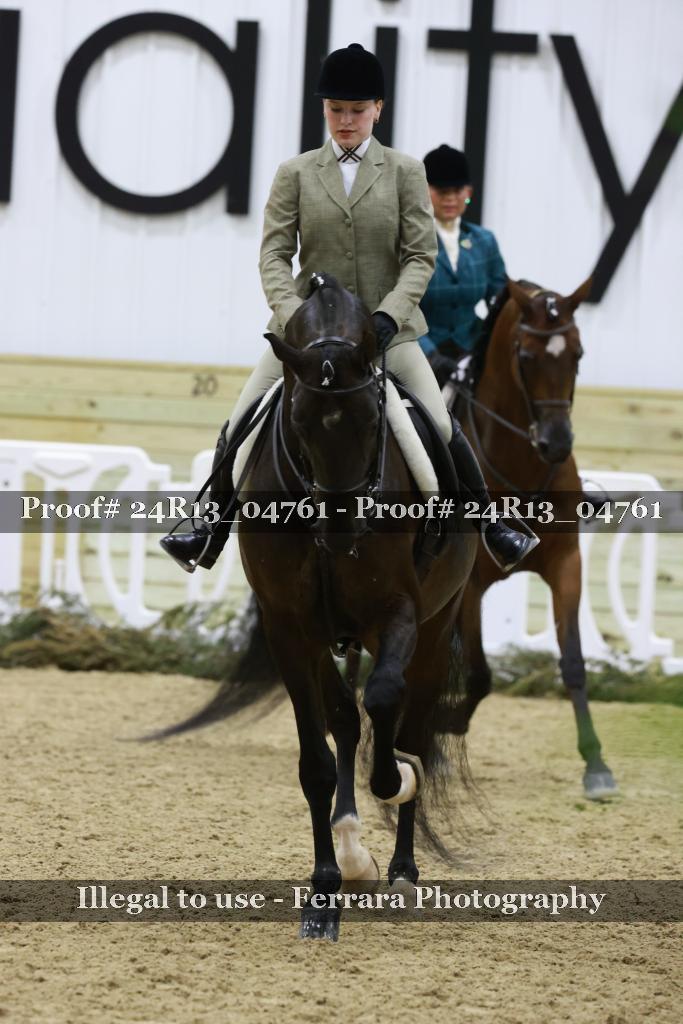 Proof 24R13_04761
