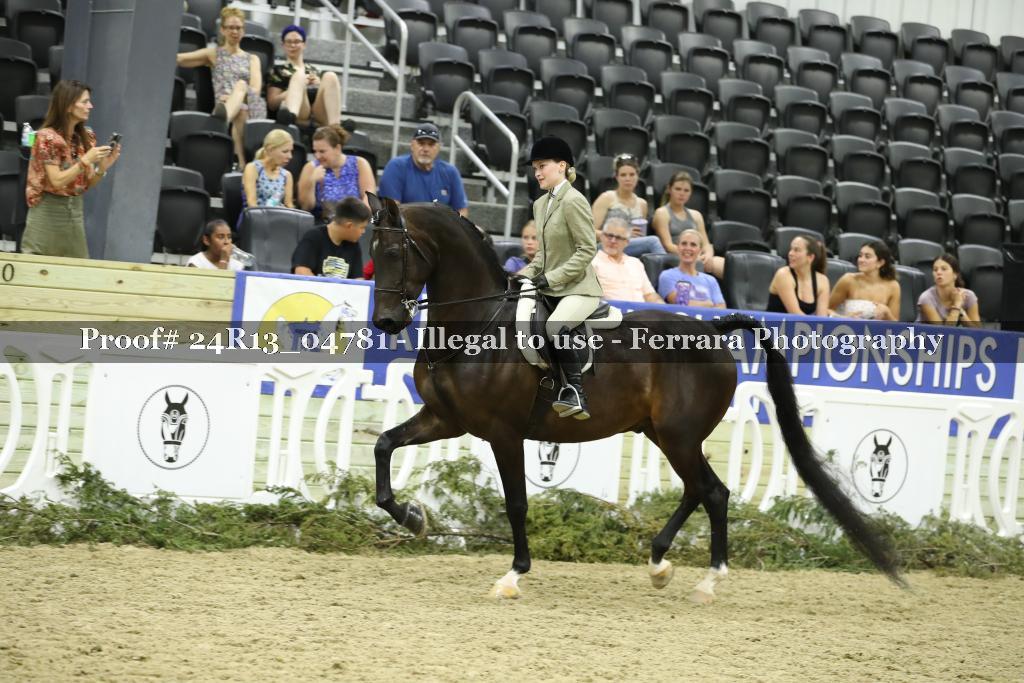 Proof 24R13_04781