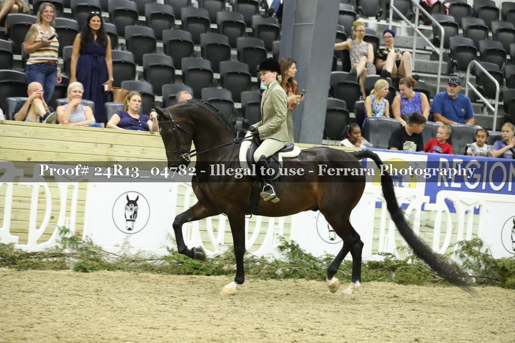 Proof 24R13_04782