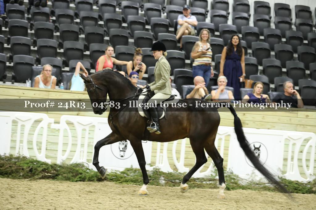 Proof 24R13_04783