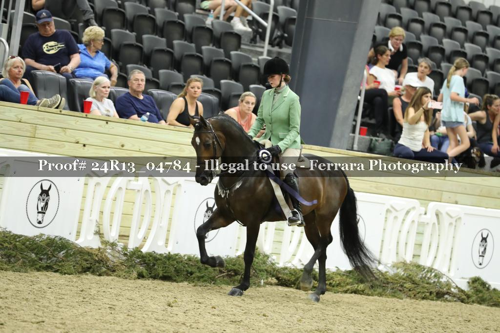 Proof 24R13_04784