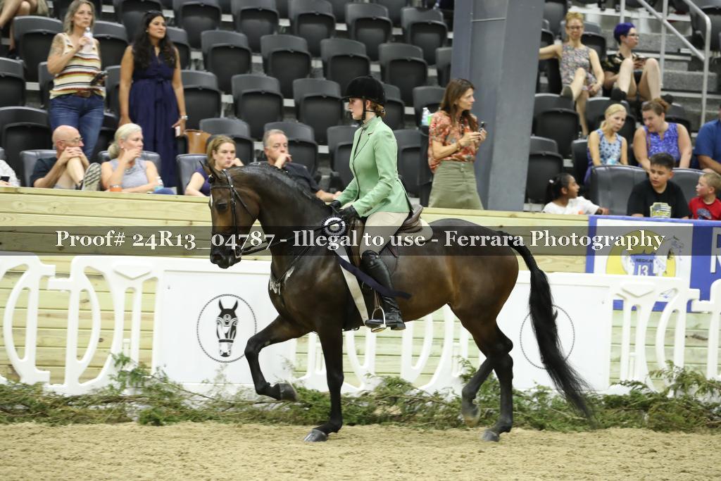 Proof 24R13_04787