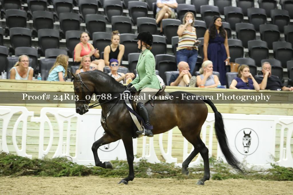 Proof 24R13_04788