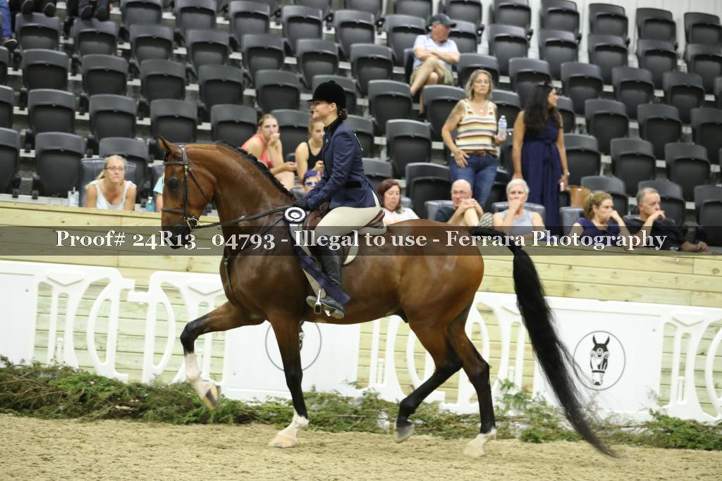 Proof 24R13_04793