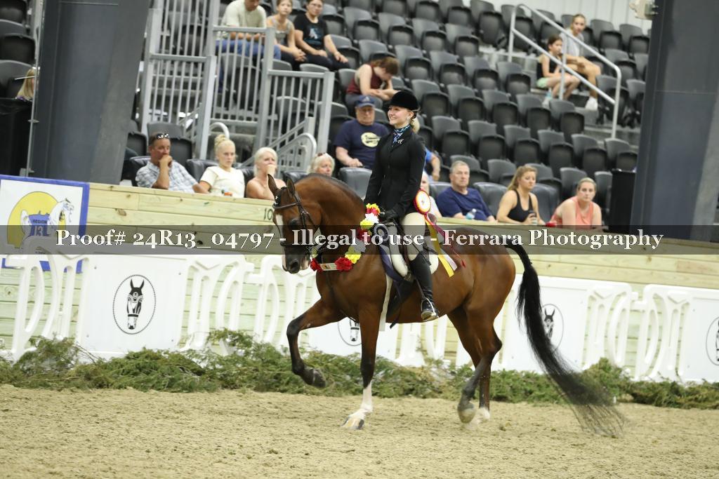 Proof 24R13_04797