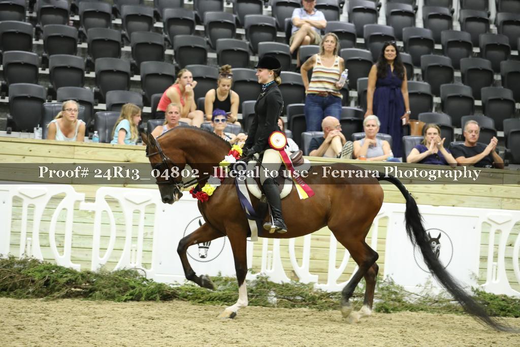 Proof 24R13_04802