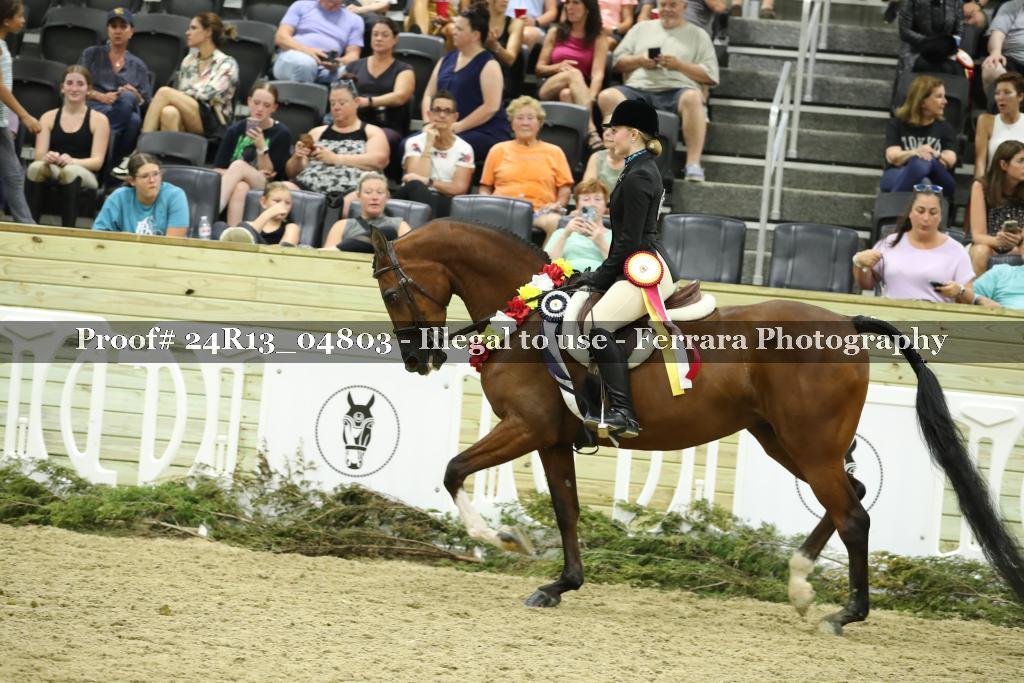 Proof 24R13_04803