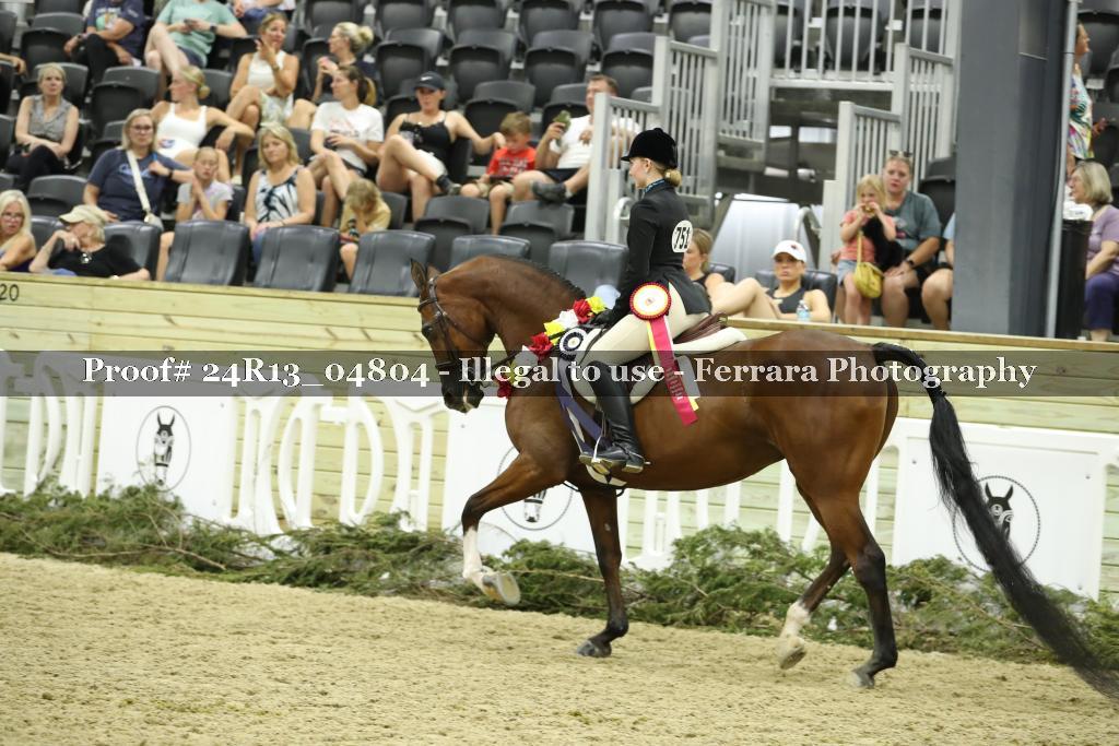 Proof 24R13_04804