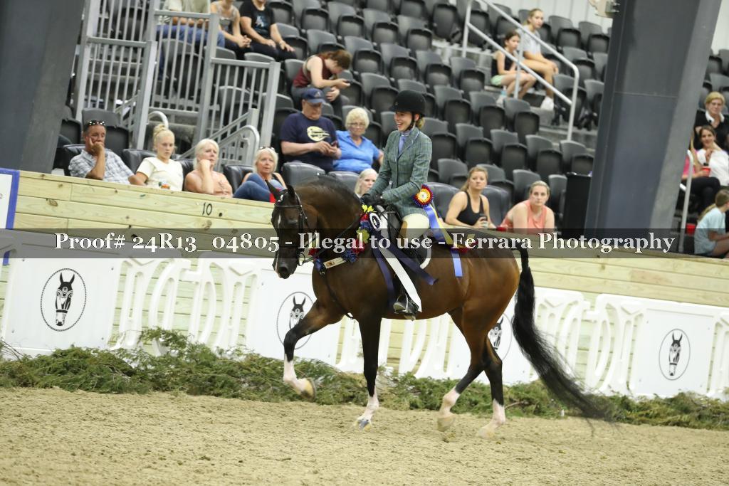 Proof 24R13_04805