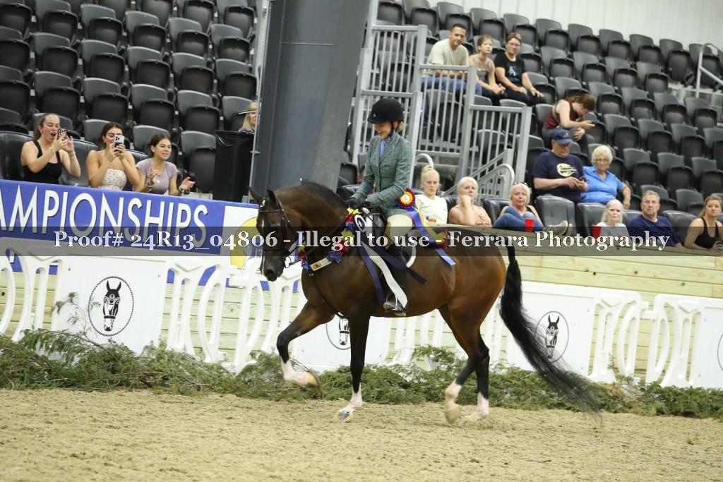 Proof 24R13_04806