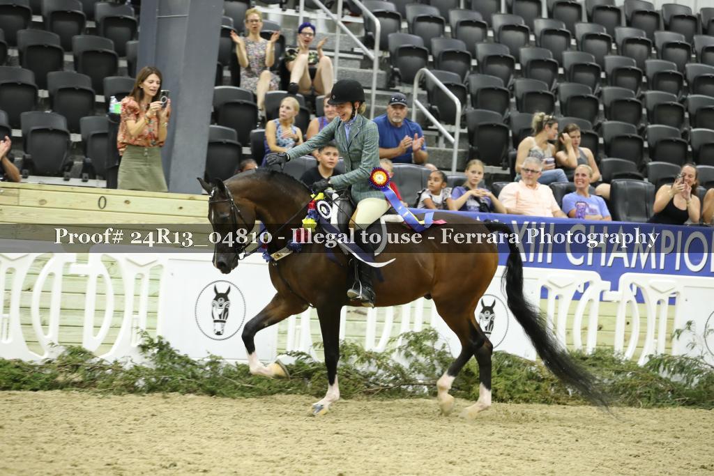 Proof 24R13_04810