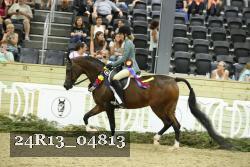 24R13_04813 proof