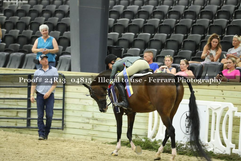 Proof 24R13_04815
