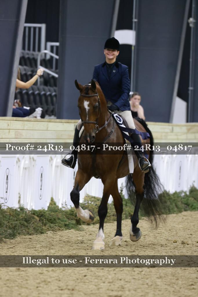 Proof 24R13_04817