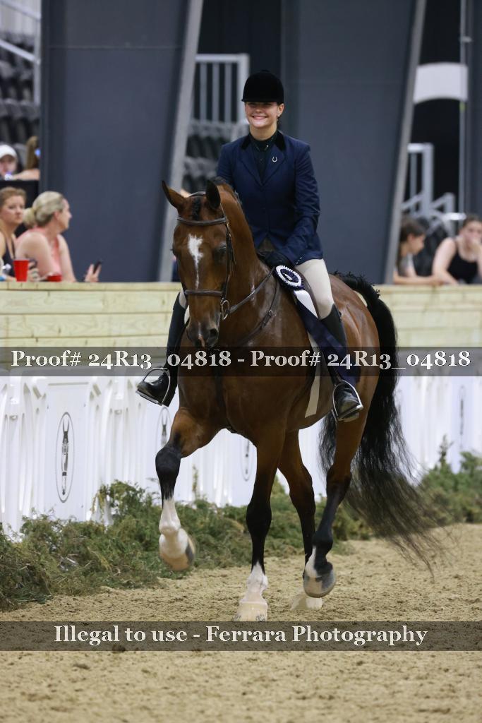Proof 24R13_04818
