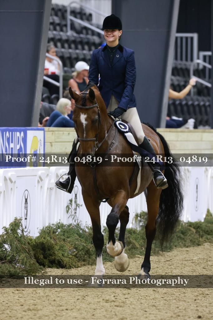 Proof 24R13_04819