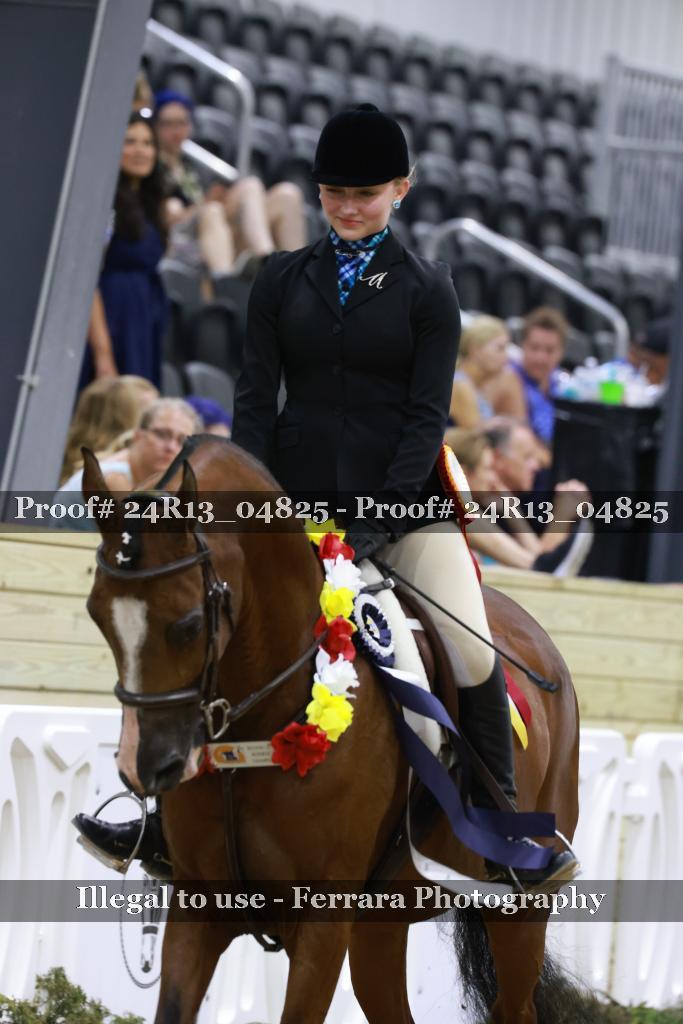 Proof 24R13_04825