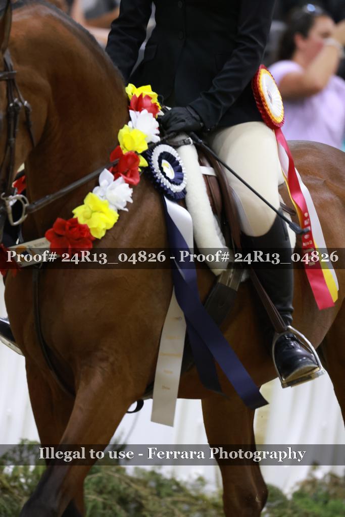 Proof 24R13_04826
