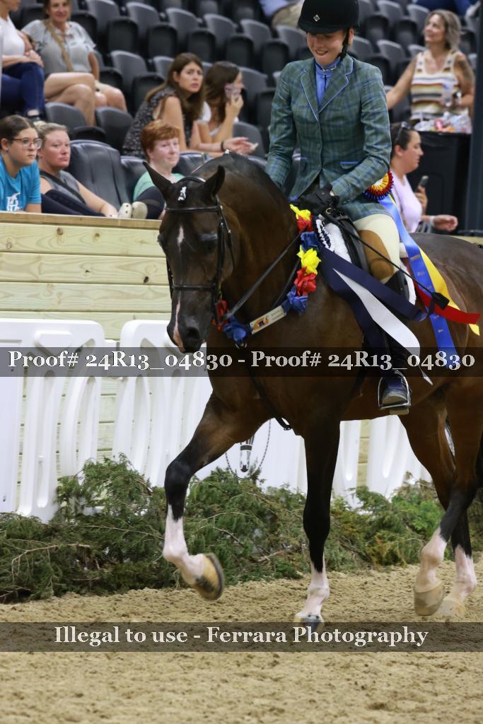 Proof 24R13_04830