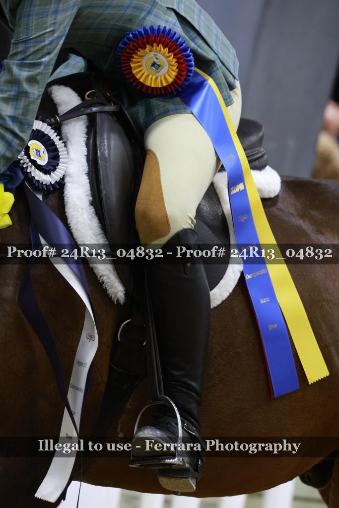 Proof 24R13_04832