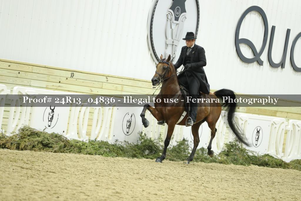 Proof 24R13_04836