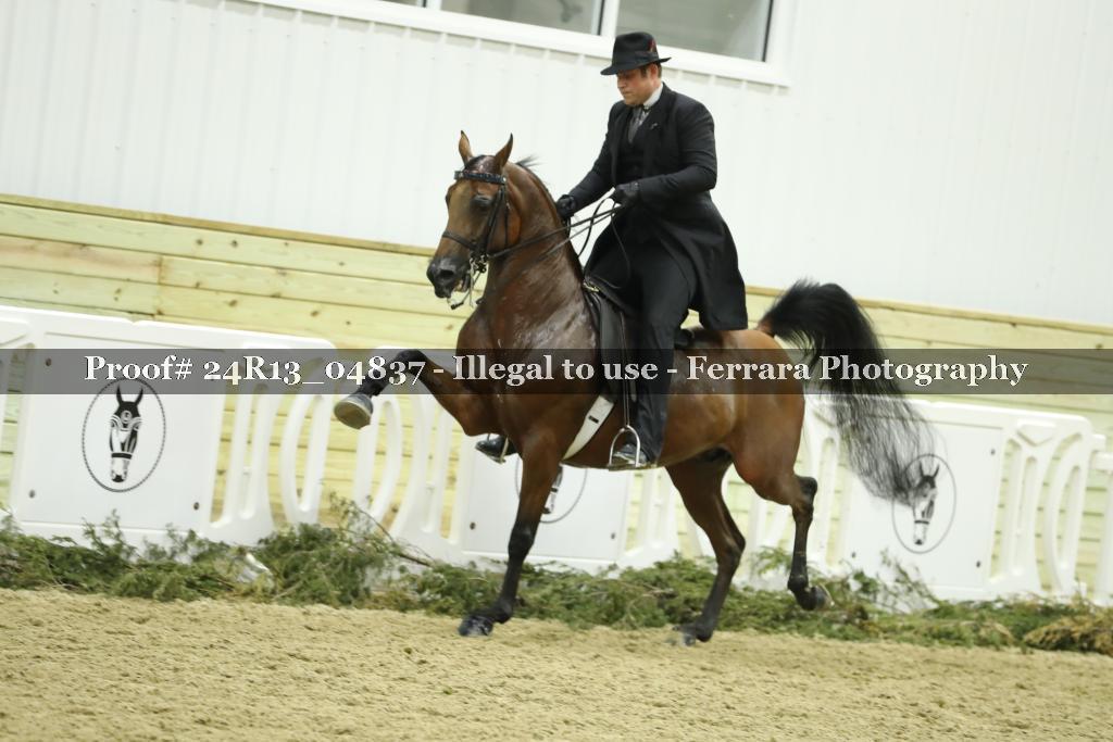 Proof 24R13_04837