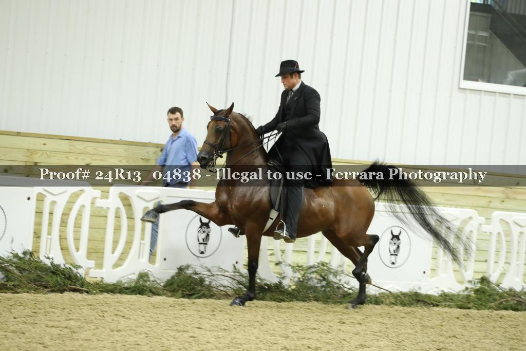 Proof 24R13_04838