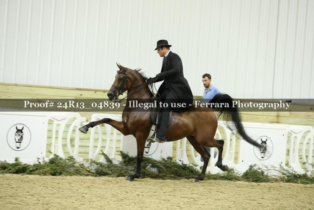 Proof 24R13_04839