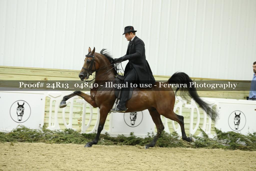 Proof 24R13_04840