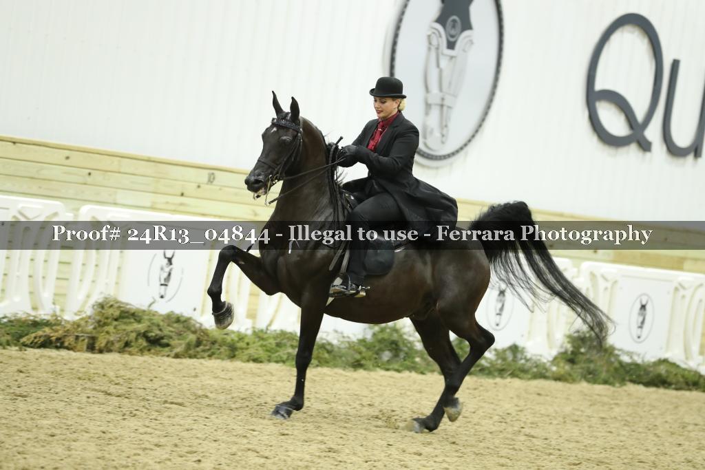 Proof 24R13_04844