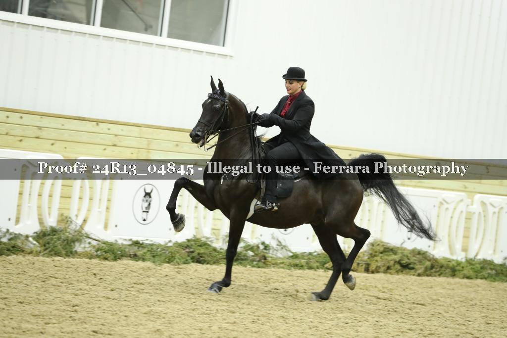 Proof 24R13_04845