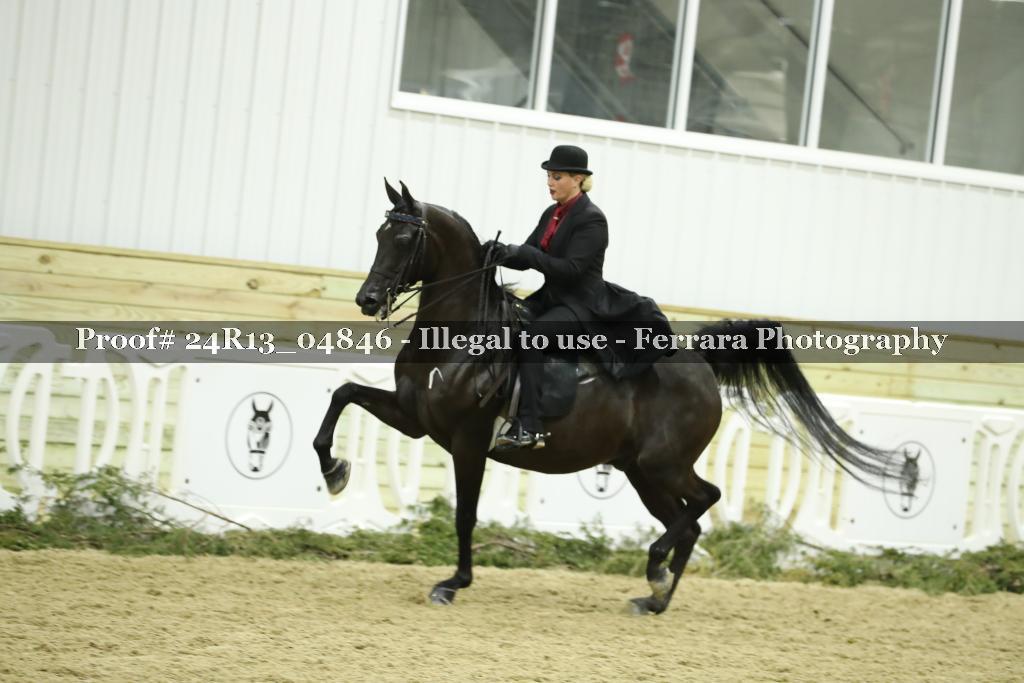 Proof 24R13_04846