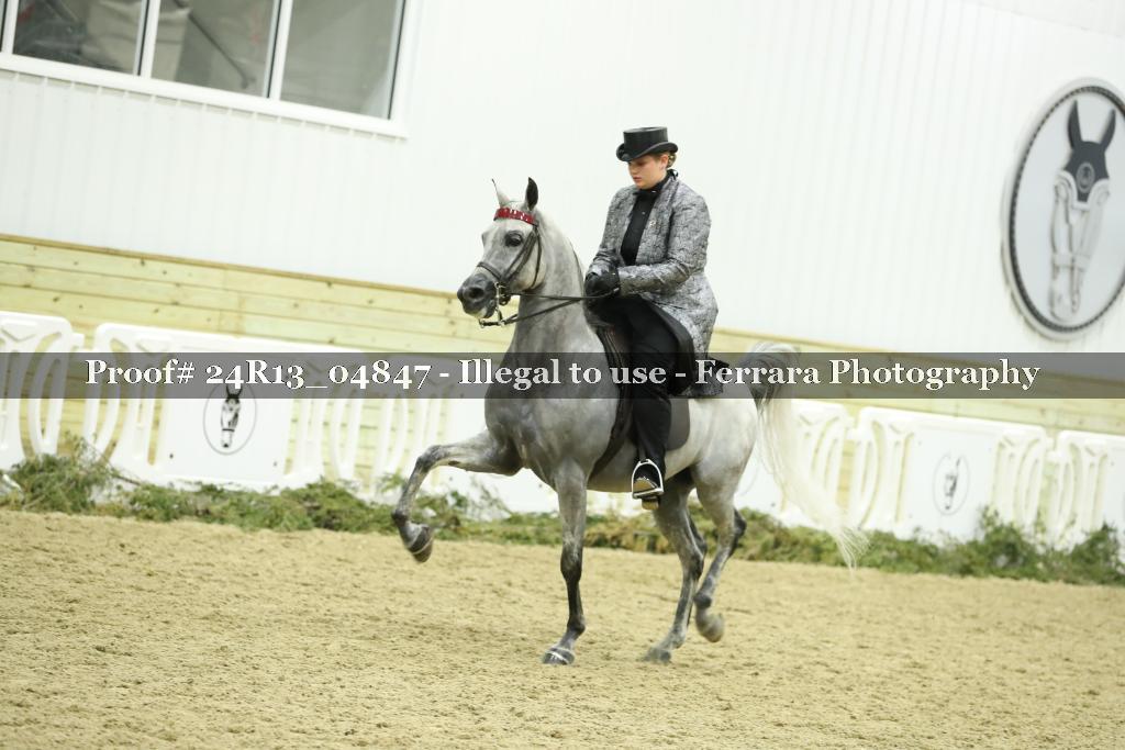 Proof 24R13_04847