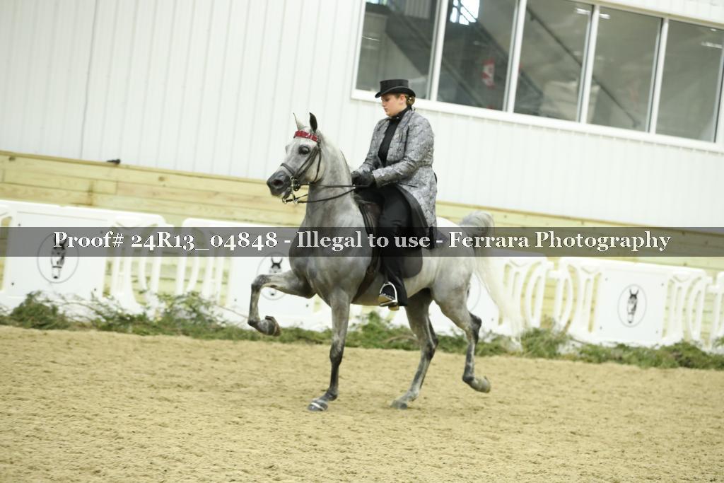 Proof 24R13_04848