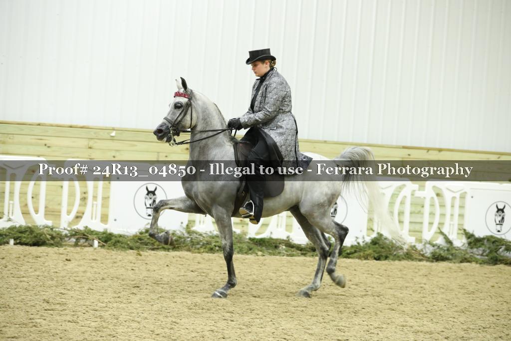 Proof 24R13_04850