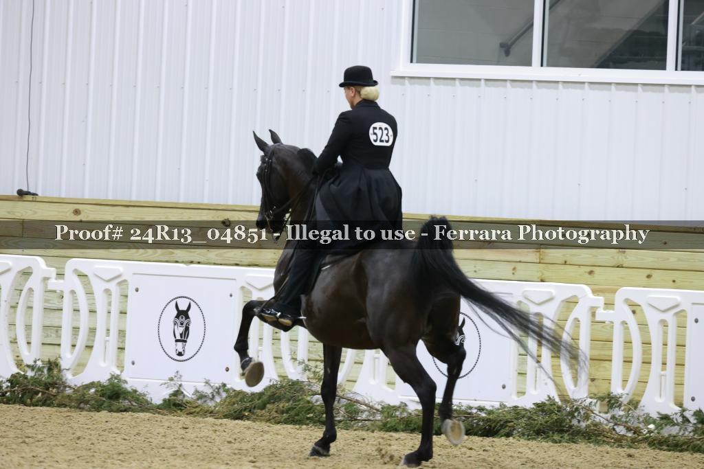 Proof 24R13_04851