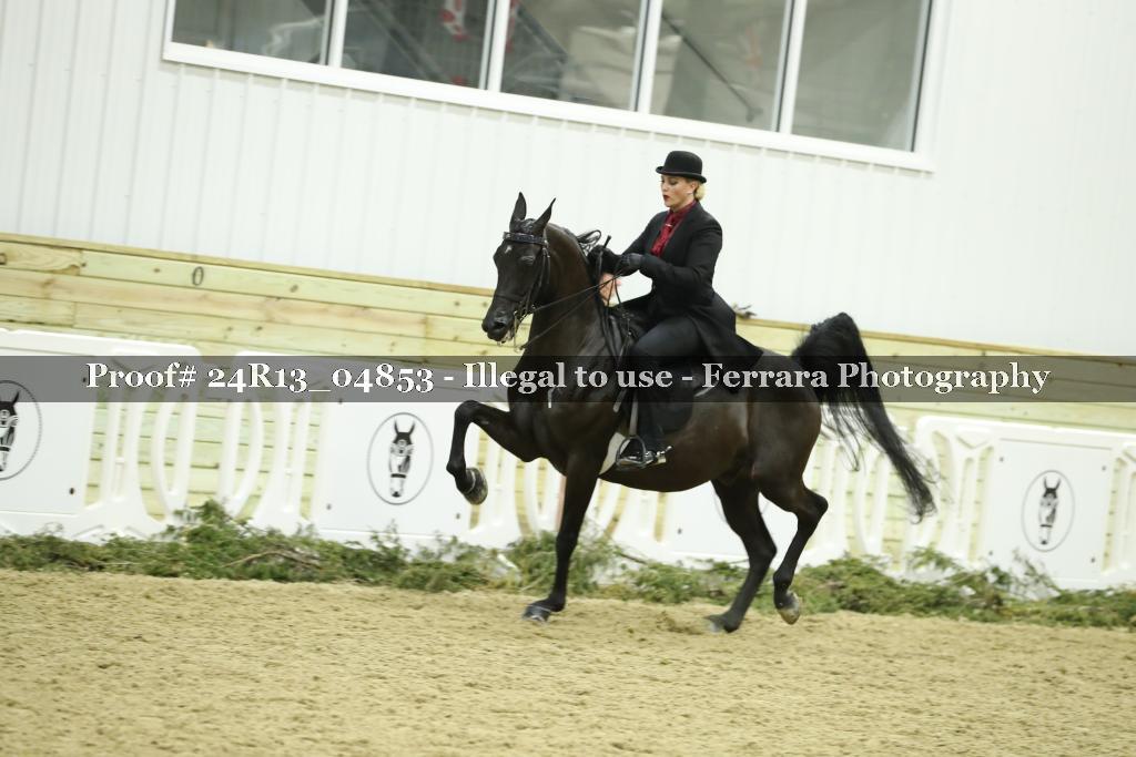 Proof 24R13_04853