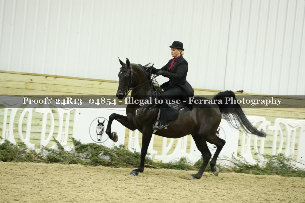Proof 24R13_04854