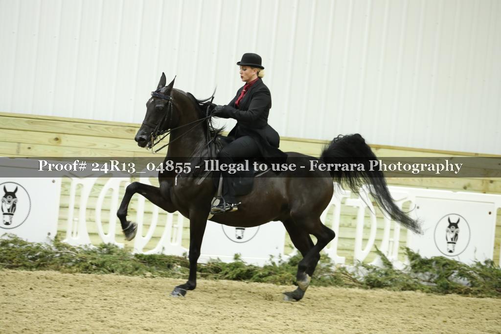 Proof 24R13_04855