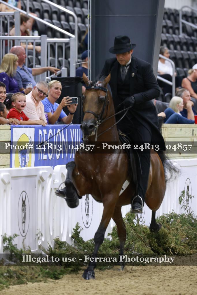 Proof 24R13_04857