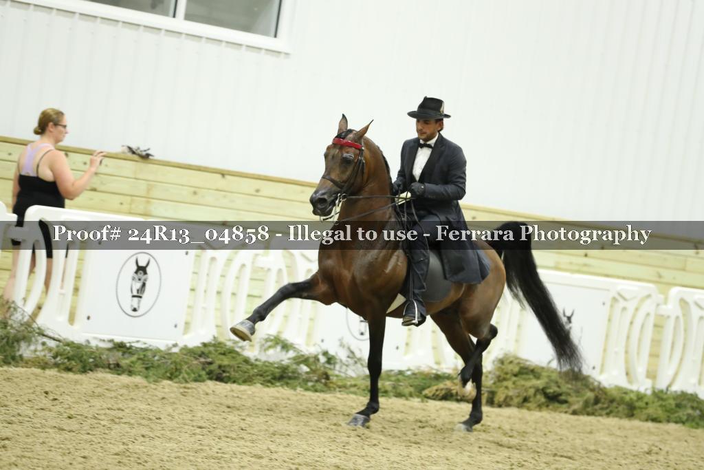Proof 24R13_04858