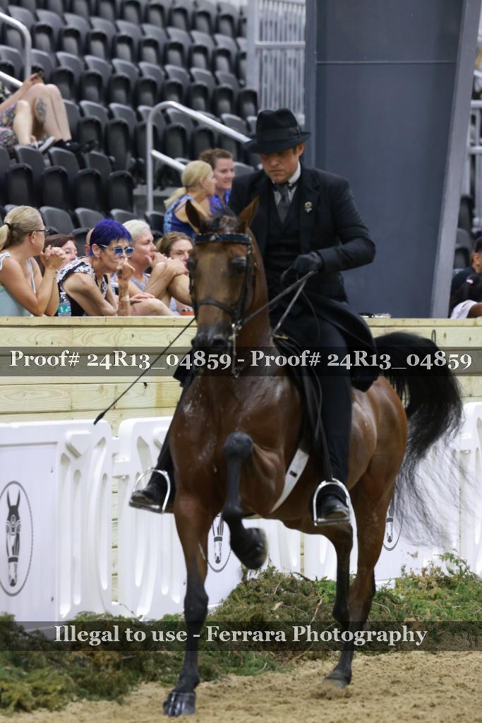 Proof 24R13_04859