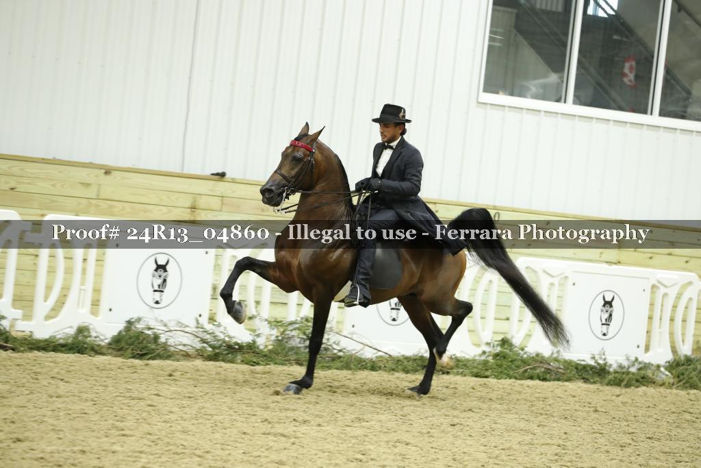 Proof 24R13_04860