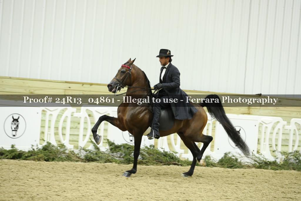 Proof 24R13_04861